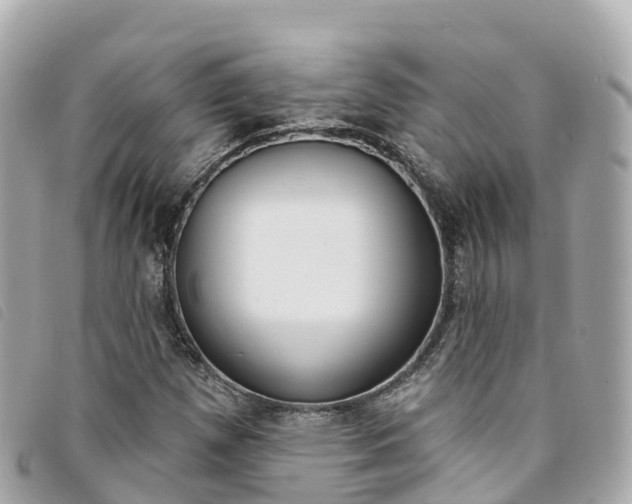 X0000094231257200710261006