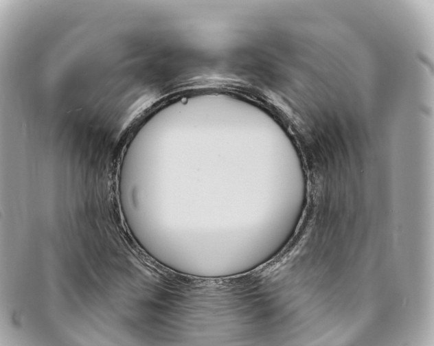 X0000094231259200710261006