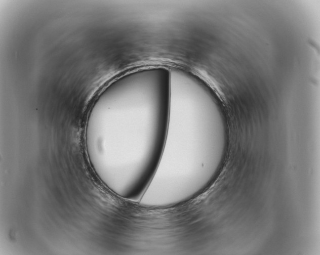 X0000094231260200710261006