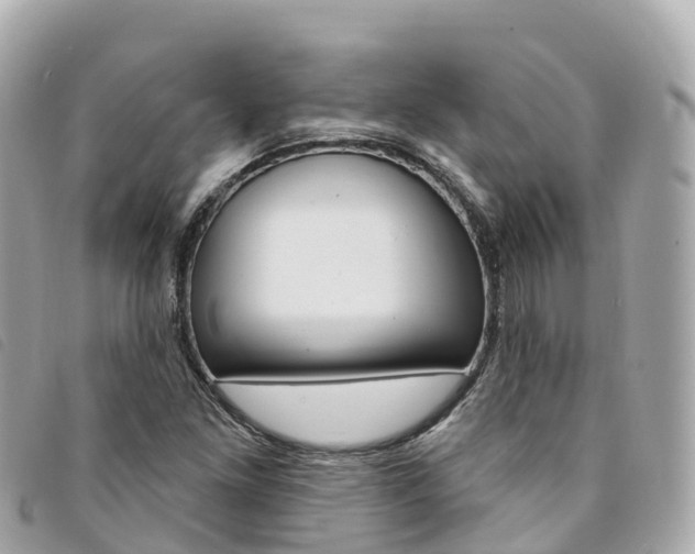 X0000094231261200710261006