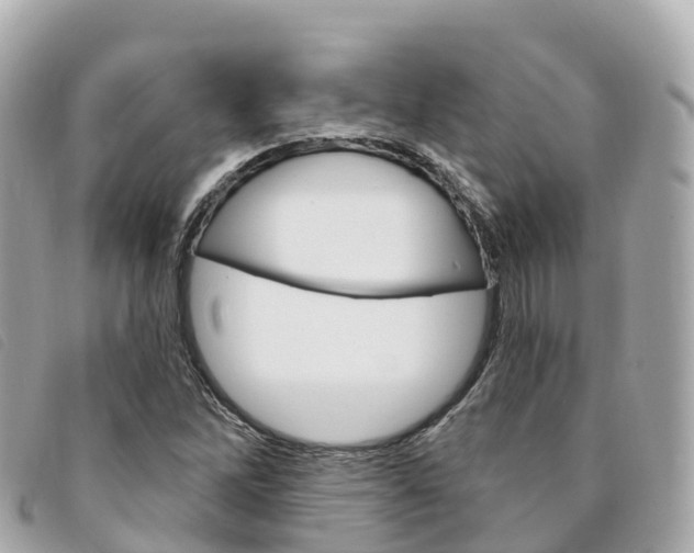 X0000094231262200710261006