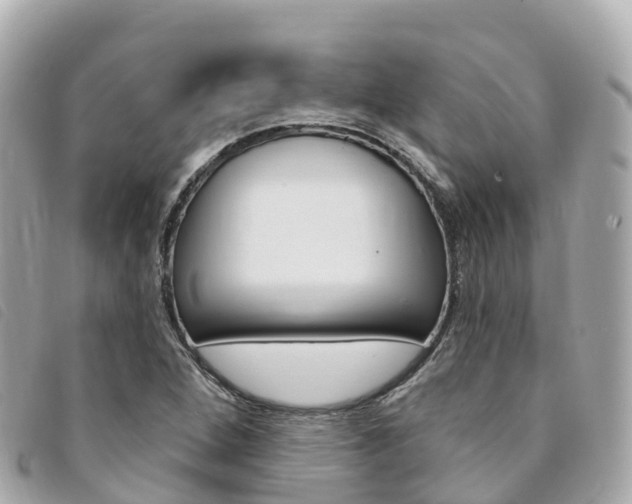 X0000094231264200710261006