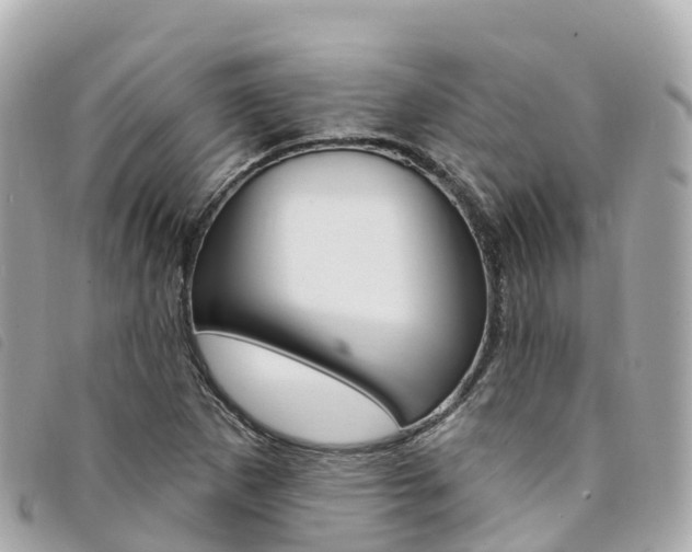 X0000094231265200710261006