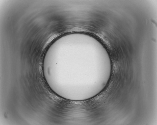 X0000094231266200710261006