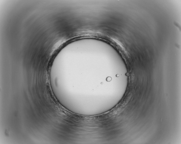 X0000094231267200710261006