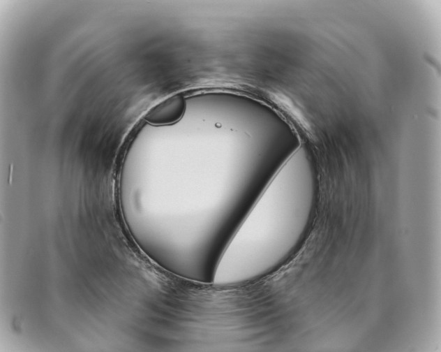X0000094231268200710261006