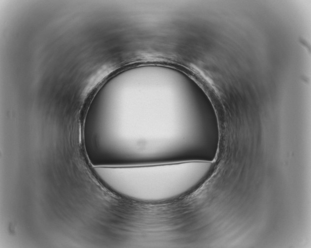 X0000094231269200710261006