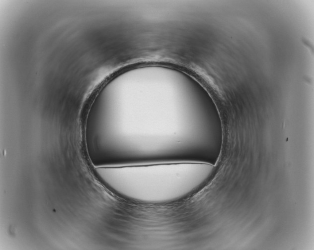 X0000094231270200710261006