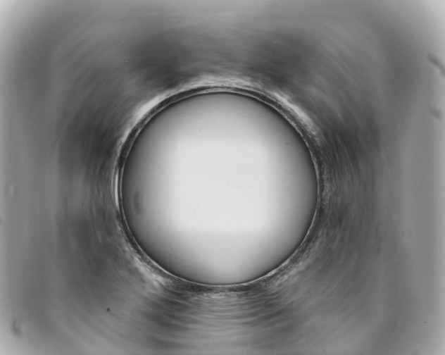 X0000094231272200710261006