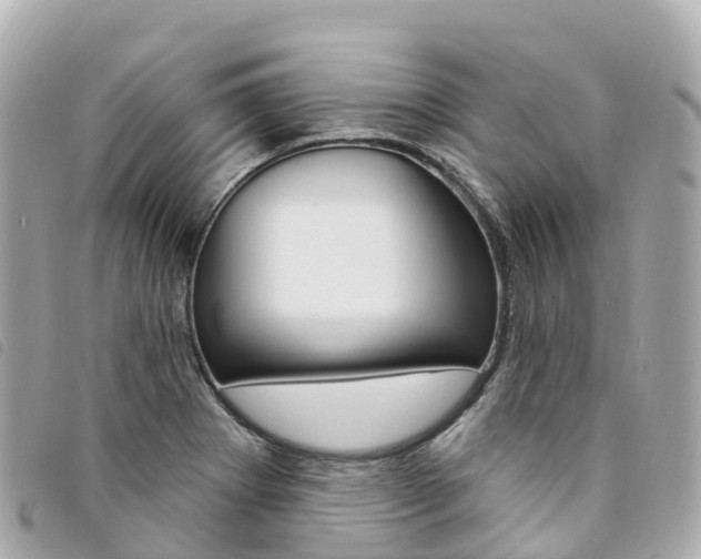 X0000094231273200710261006