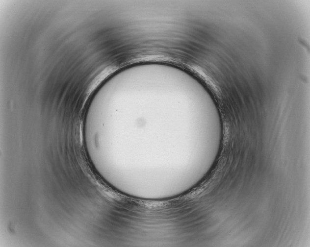 X0000094231274200710261006