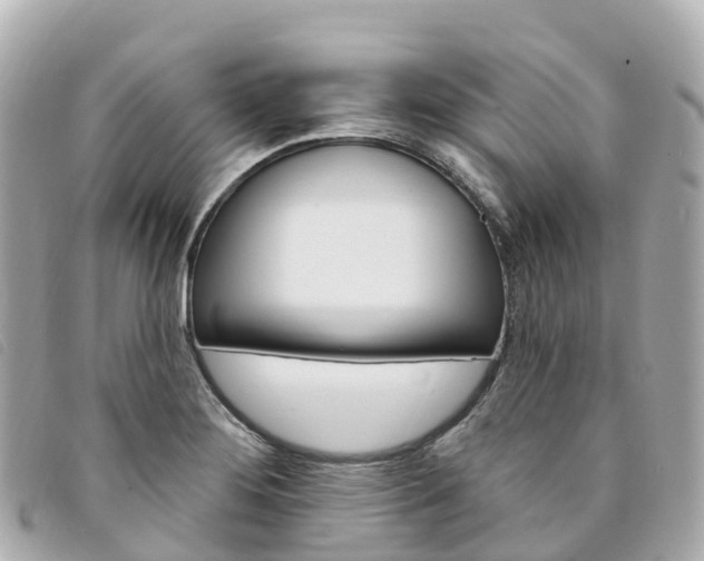 X0000094231276200710261006
