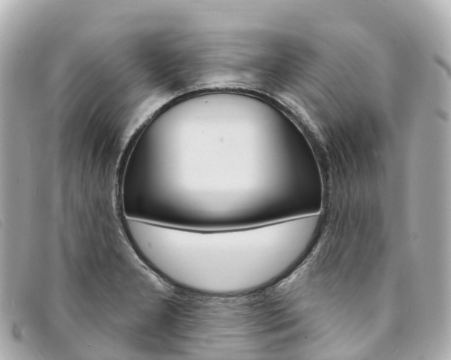 X0000094231277200710261006