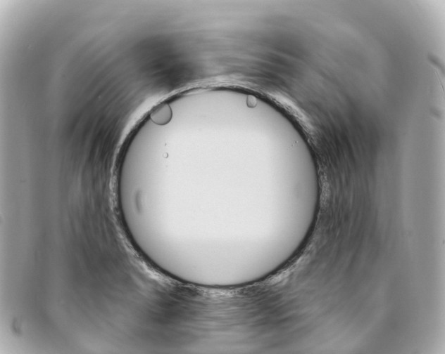 X0000094231278200710261006