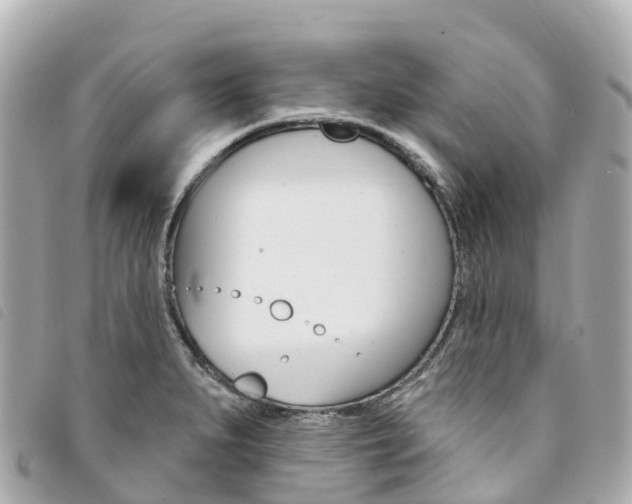 X0000094231279200710261006