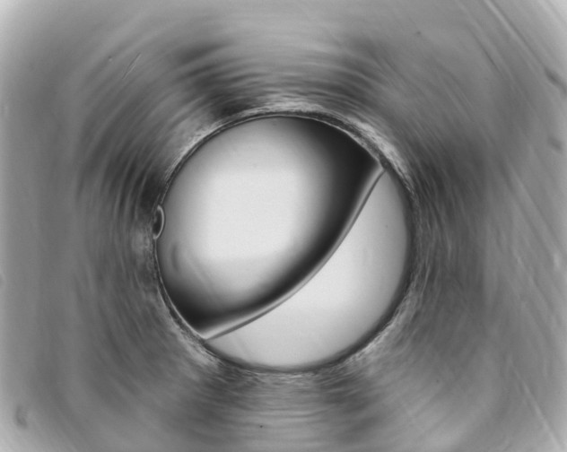 X0000094231281200710261006