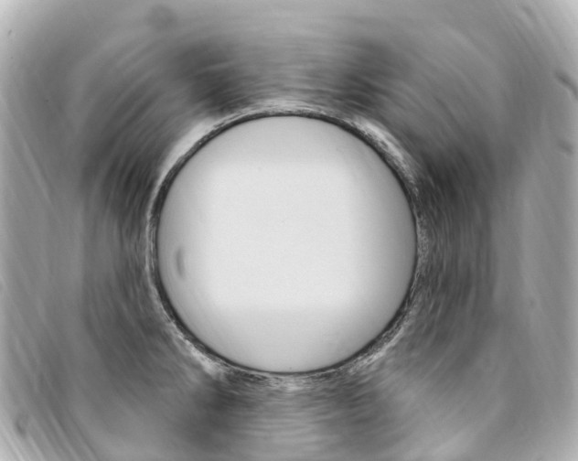 X0000094231286200710261006