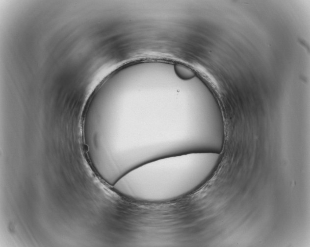 X0000094231287200710261006