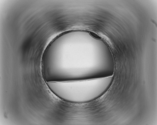 X0000094231288200710261006