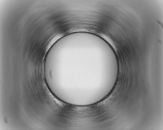 X0000094231290200710261006