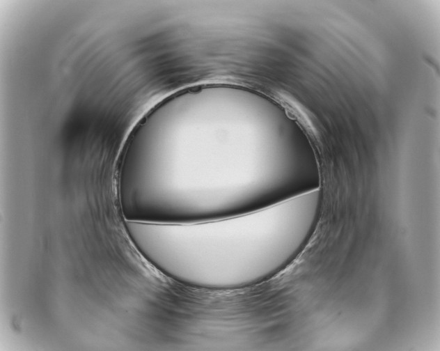 X0000094231292200710261006