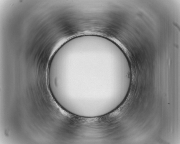 X0000094231294200710261006