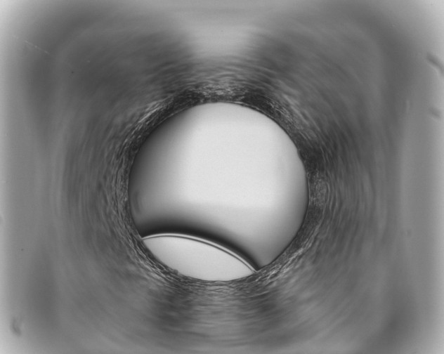 X0000094231297200710261005