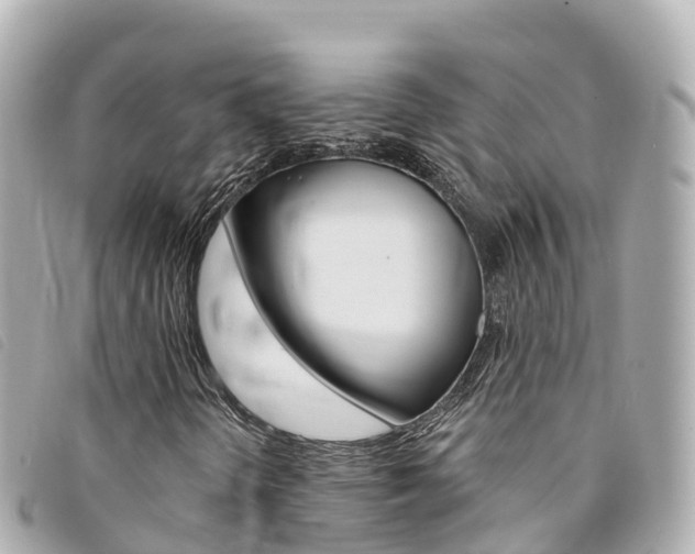 X0000094231298200710261005