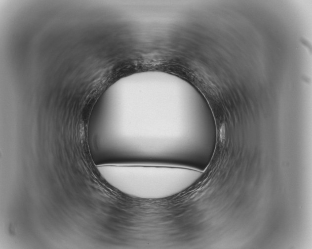 X0000094231299200710261005