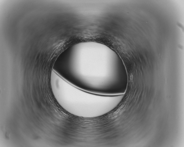 X0000094231300200710261005