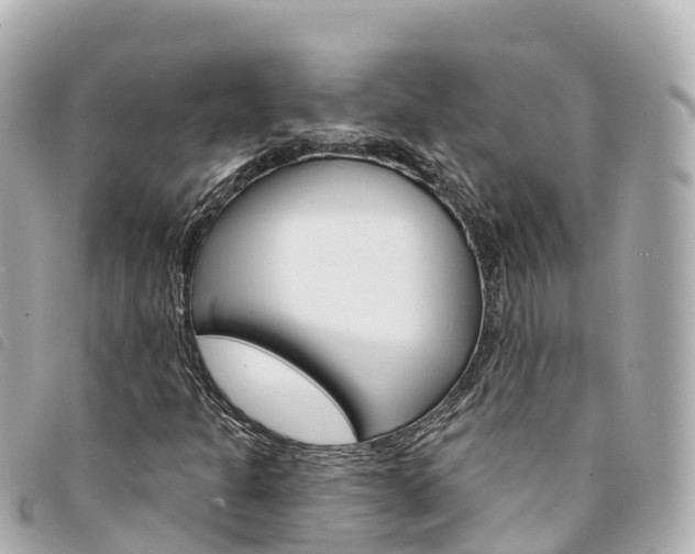 X0000094231301200710261005
