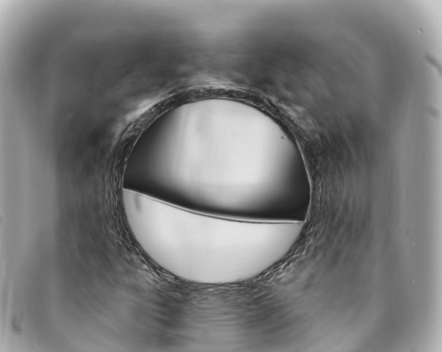 X0000094231303200710261005