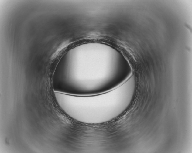X0000094231304200710261005