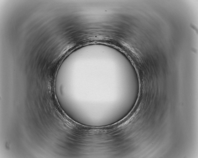 X0000094231305200710261005