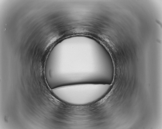 X0000094231306200710261005