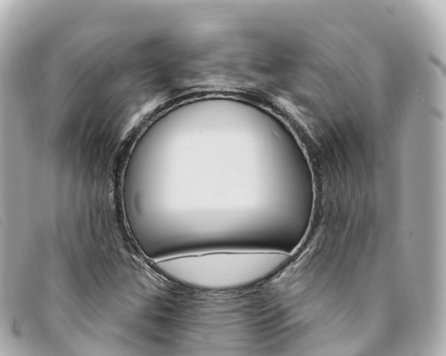 X0000094231307200710261005