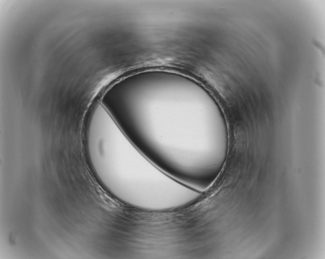 X0000094231308200710261005