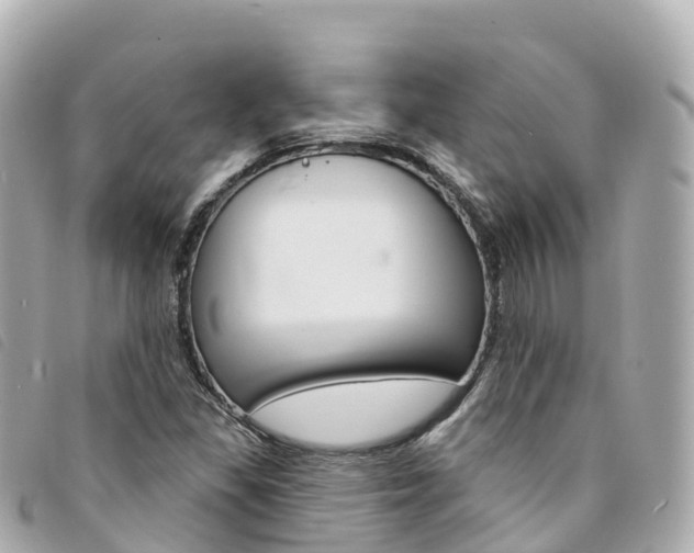 X0000094231309200710261005