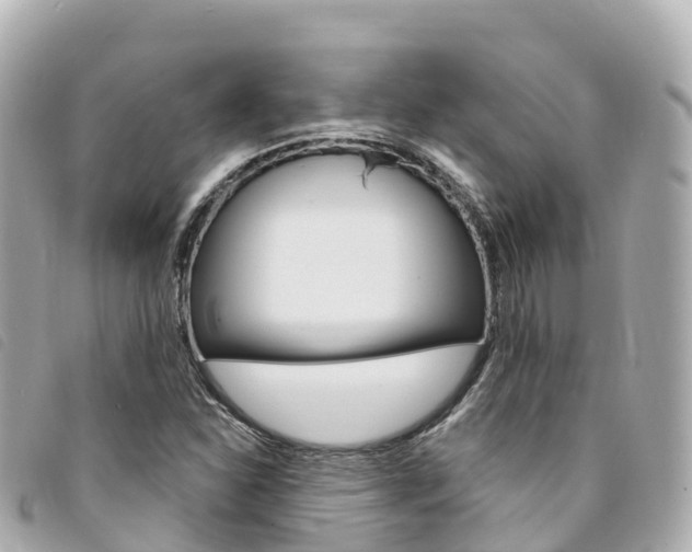 X0000094231310200710261005