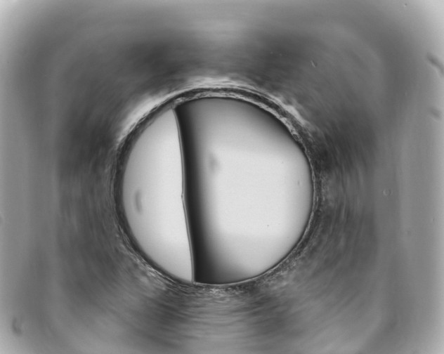 X0000094231311200710261005