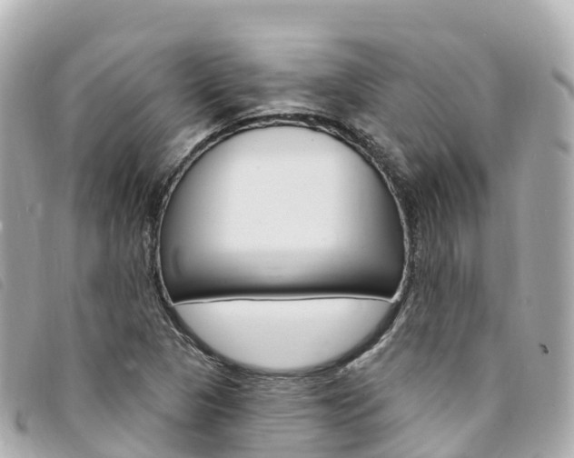 X0000094231313200710261006