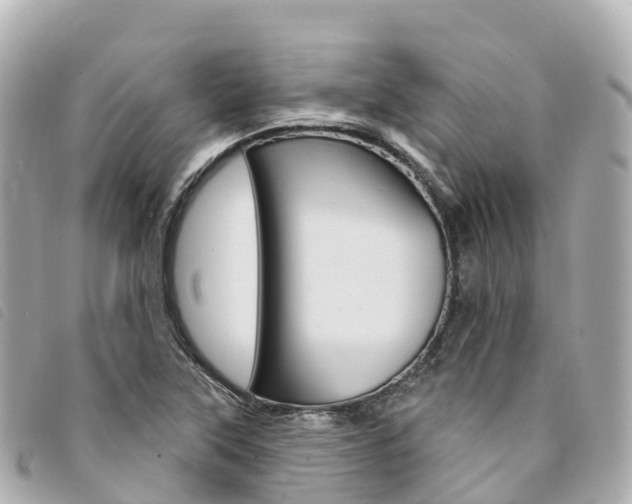 X0000094231315200710261006