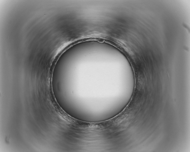 X0000094231316200710261006