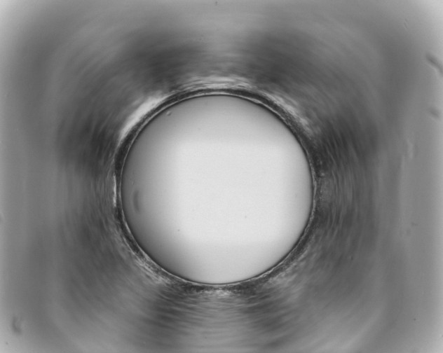 X0000094231317200710261006
