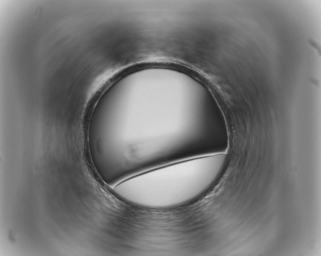 X0000094231319200710261006