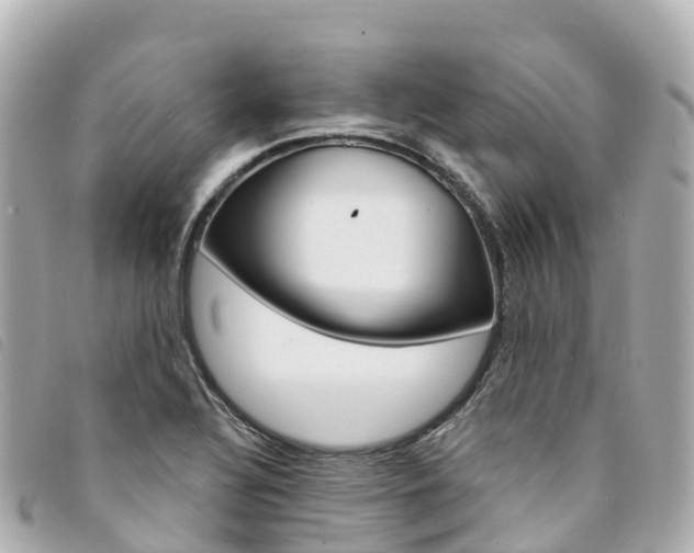 X0000094231320200710261006