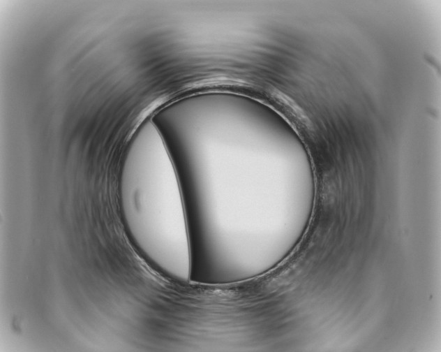 X0000094231321200710261006