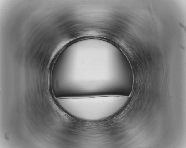 X0000094231323200710261006