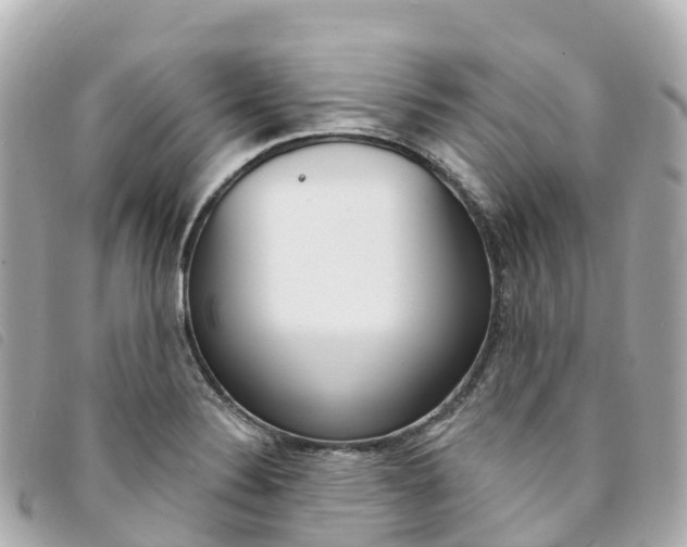 X0000094231324200710261006