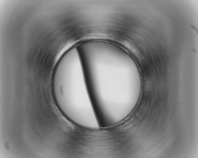 X0000094231325200710261006
